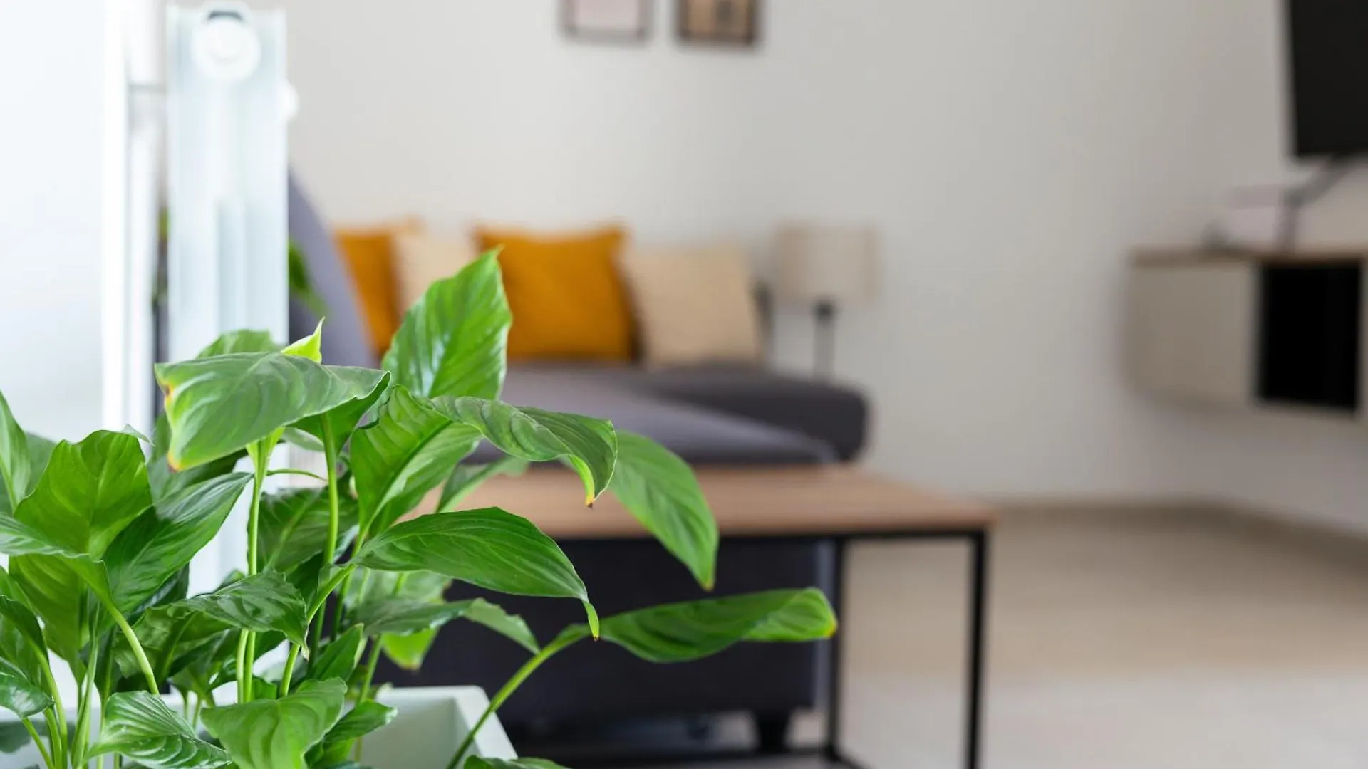 La Terrazza Apartment Rome